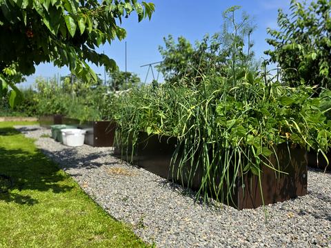 дом по адресу пгт. Слобожанское, Шевченко