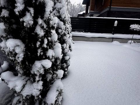 будинок за адресою Михайла Чалого вул.