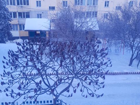 квартира за адресою с. Білогородка, Олександра Саєнка вул., 7