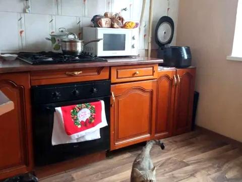 квартира за адресою Михайла Котельникова вул., 25