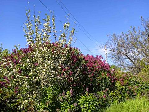 будинок за адресою Харків, Семка вул. (Сербиченка), 1а