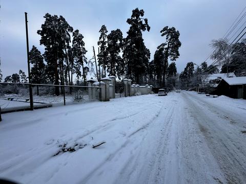 ділянка за адресою Тюльпанова вул. (Червоноармійська), 17-А