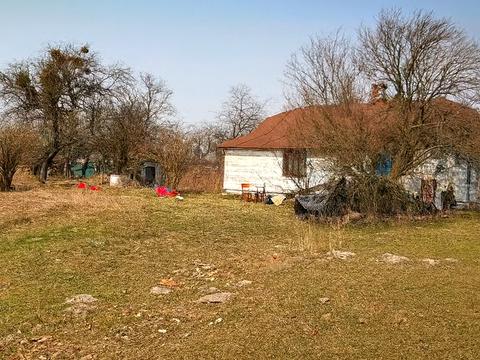 дом по адресу Стирова