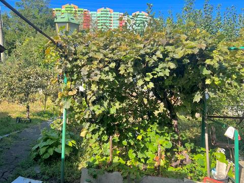 будинок за адресою Миронівська вул., 3