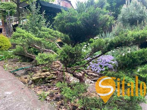 дом по адресу Симфонічна