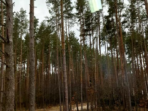 дом по адресу Соснова