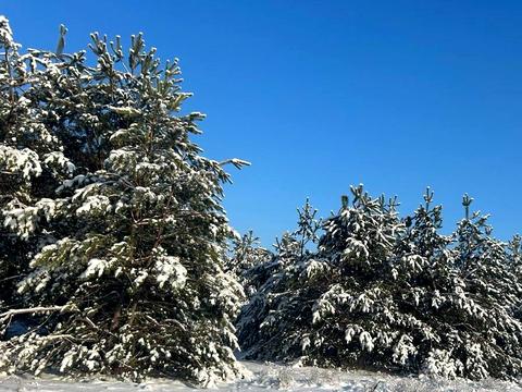 ділянка за адресою с. Рудня-Тальська, 