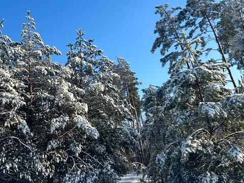 ділянка за адресою с. Рудня-Тальська, 