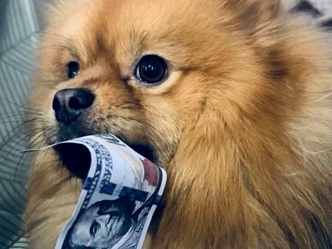 квартира за адресою Полуничний пров., 24