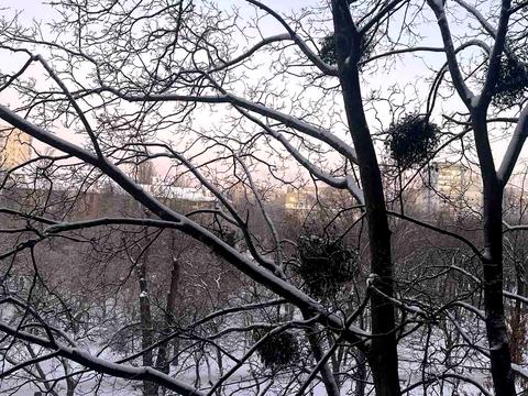 квартира за адресою Єреванська вул., 31/1