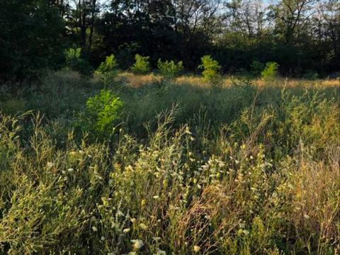 ділянка за адресою Близнюківський узвіз