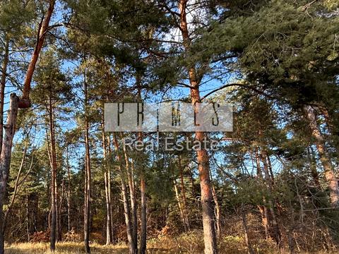 дом по адресу Перемоги