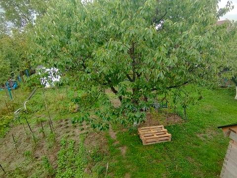 будинок за адресою Ужанська вул.