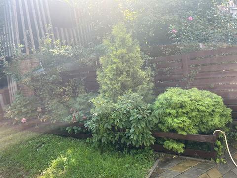 будинок за адресою Олександра Бринжали вул. (Тешебаєва), 32