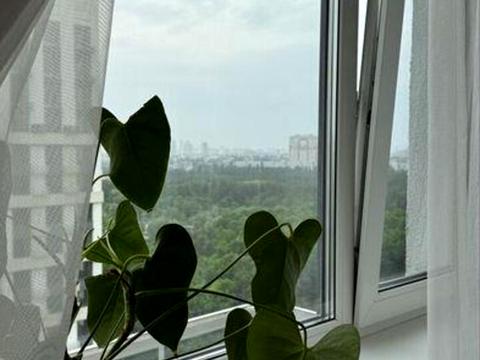 квартира за адресою Князя Романа Мстиславича вул. (Генерала Жмаченка), 22а