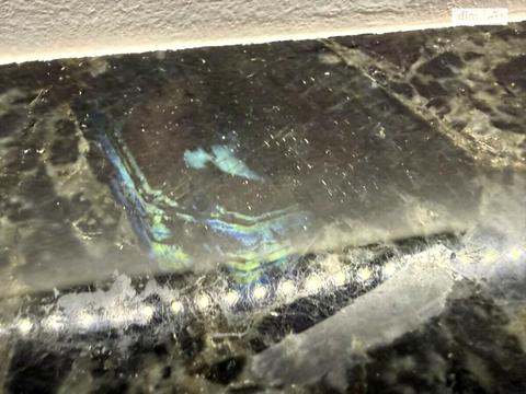 квартира за адресою Миру просп., 94/1в