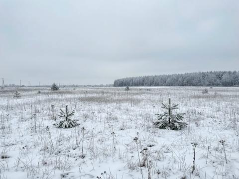 ділянка за адресою 