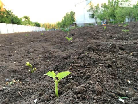 будинок за адресою Молодіжний пров., 14