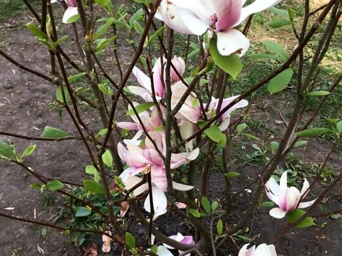 будинок за адресою Молодіжний пров., 14