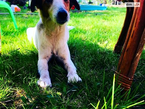 будинок за адресою Молодіжний пров., 14