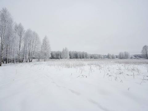 ділянка за адресою с. Почепин, 