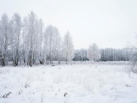 ділянка за адресою с. Почепин, 