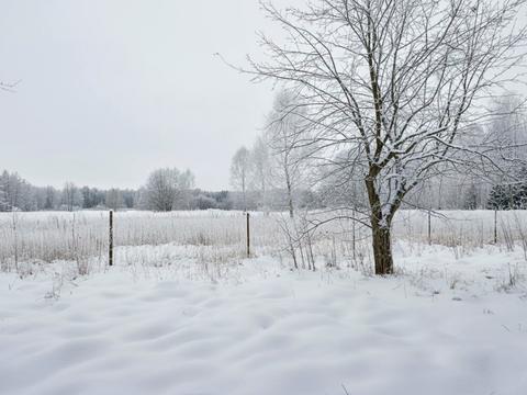 ділянка за адресою с. Почепин, 