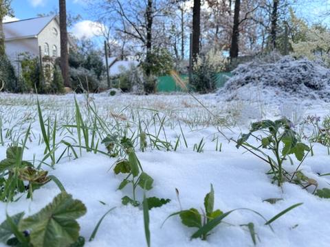 ділянка за адресою Кленова вул., 29 а