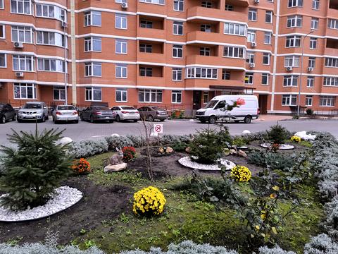 квартира по адресу Овидиопольская дорога ул., 3, к.1