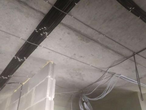 квартира за адресою Малоголосківська вул., (Будинок)