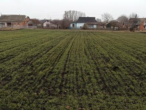 ділянка за адресою калинова