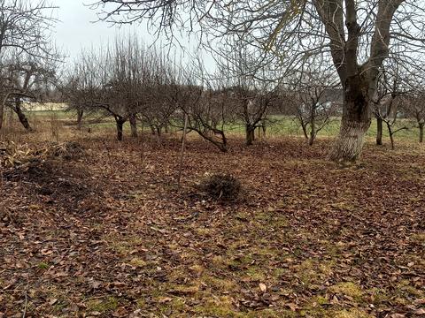 ділянка за адресою калинова