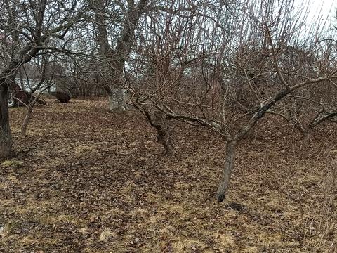 ділянка за адресою калинова