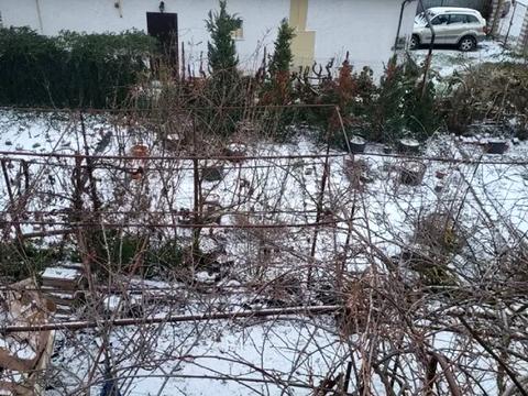 участок по адресу Абрикосовая ул.