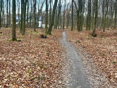 будинок за адресою с. Вислобоки, Львівська