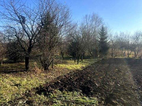 дом по адресу Центральна