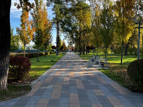 квартира по адресу Лесная ул., 1-Б