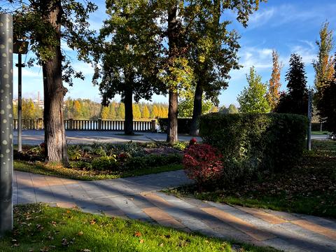 квартира по адресу Лесная ул., 1-Б