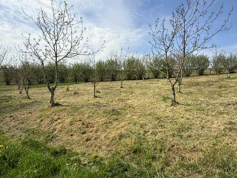 дом по адресу Шевченка-бічна, 12