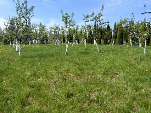 дом по адресу Шевченка-бічна, 12