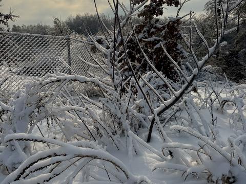 участок по адресу Лісова