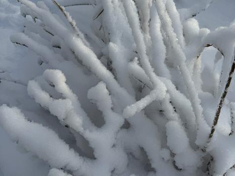 участок по адресу Лісова