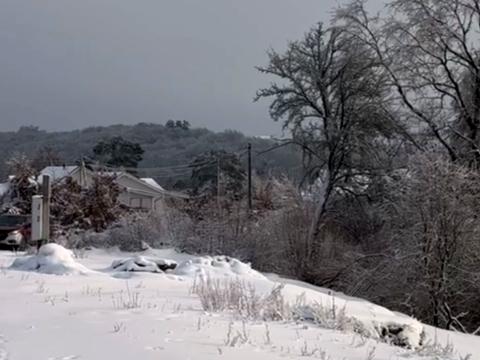участок по адресу Лісова