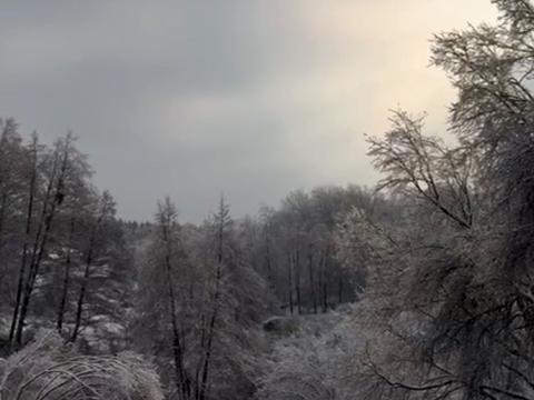 участок по адресу Лісова