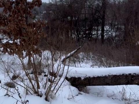 участок по адресу Лісова