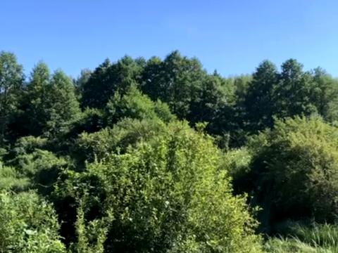 участок по адресу Лісова