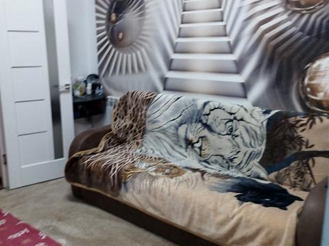 дом по адресу Ефимова ул., 18