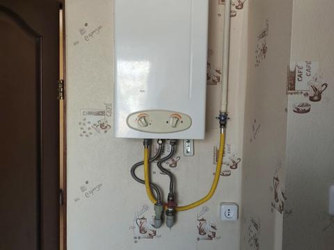 дом по адресу Ромашковая ул., 47