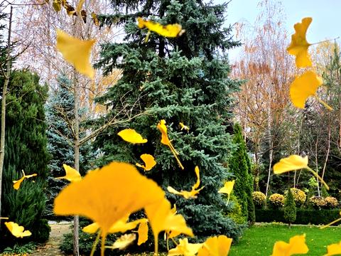 будинок за адресою Старокиївська вул.