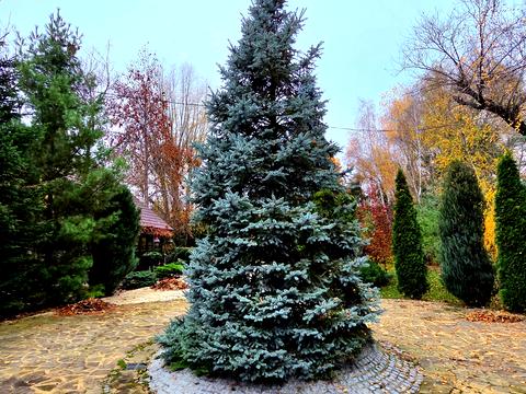 будинок за адресою Старокиївська вул.